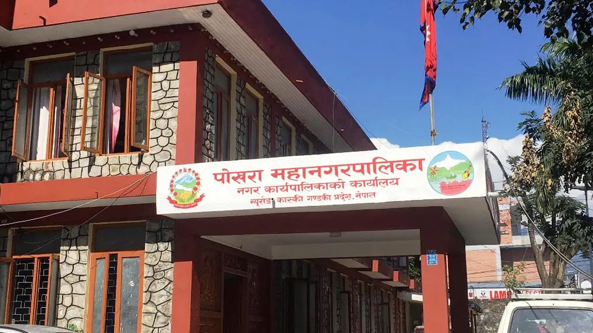 बाँदर नियन्त्रणका लागि रूख काट्ने वडाध्यक्षको निर्णयमाथि महानगरको रोक